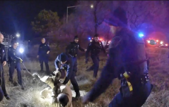 Sterling Heights Officers to Face Trial for Felonious Assault, Misconduct During Arrest