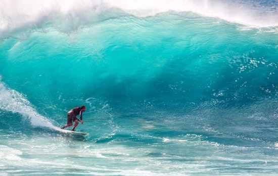 Surfing Community Rallies as Hawaiian Airlines Faces Criticism for Rejecting Champion Joel Tudor’s Longboard