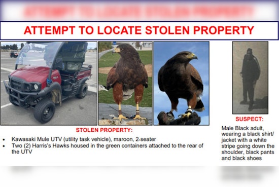 Suspect Accused of Stealing Hawks and Utility Vehicle from SoFi Stadium; Inglewood Police Seek Information