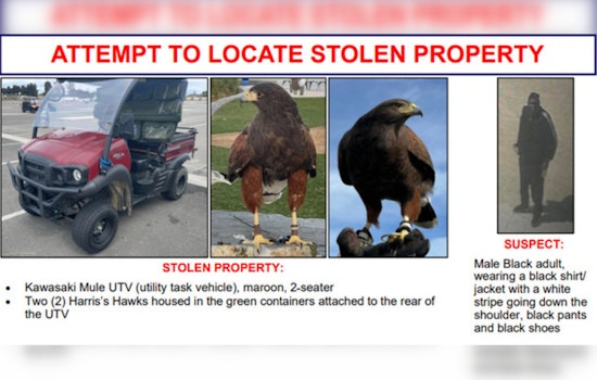 Suspect Accused of Stealing Hawks and Utility Vehicle from SoFi Stadium; Inglewood Police Seek Information