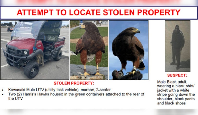 Suspect Accused of Stealing Hawks and Utility Vehicle from SoFi Stadium; Inglewood Police Seek Information