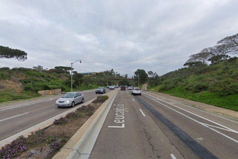 Suspect Arrested for Allegedly Starting Brush Fire in Encinitas, San Diego County Responds Rapidly