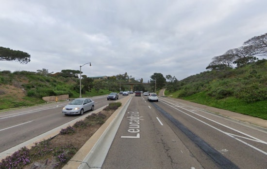 Suspect Arrested for Allegedly Starting Brush Fire in Encinitas, San Diego County Responds Rapidly