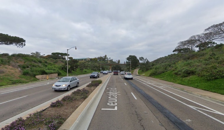 Suspect Arrested for Allegedly Starting Brush Fire in Encinitas, San Diego County Responds Rapidly