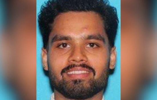 Suspect Arrested in Connection with Fatal Dog Incident During West Hollywood Burglary