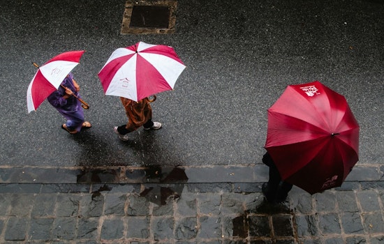 Tampa Braces for Stormy Week Ahead with High Thunderstorm Chances, Says National Weather Service
