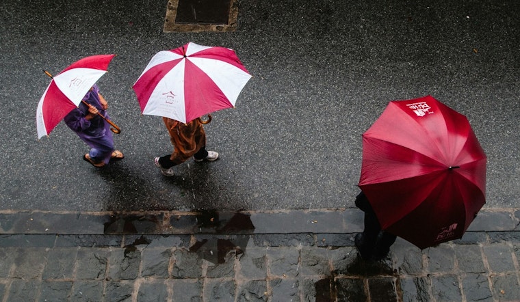 Tampa Braces for Stormy Week Ahead with High Thunderstorm Chances, Says National Weather Service