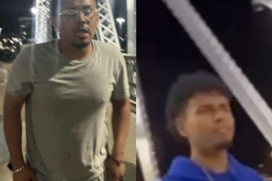 Teen Arrested for Aggravated Assault on Nashville's Seigenthaler Bridge Following Mother's Tip to Police
