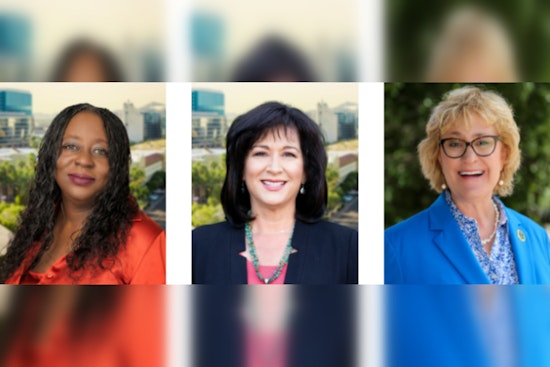 Tempe's New Animal Welfare Subcommittee Sets Inaugural Meeting to Advance Local Ordinances