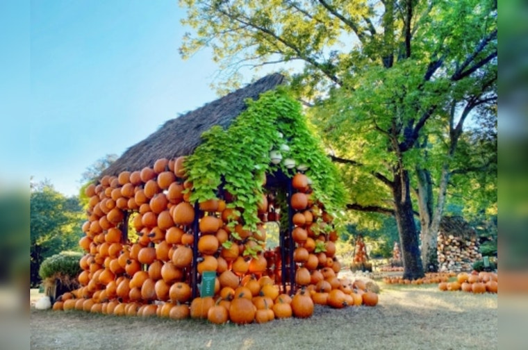 Tennessee Beckons Autumn Enthusiasts with New Attractions and Culinary Delights