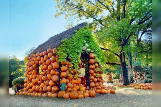 Tennessee Beckons Autumn Enthusiasts with New Attractions and Culinary Delights