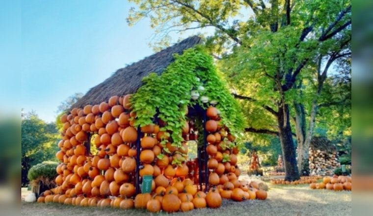 Tennessee Beckons Autumn Enthusiasts with New Attractions and Culinary Delights