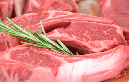 Texas Faces Lawsuit Over Ban on Lab-Grown Meat as Cultivated Food Industry Contests New Legislation