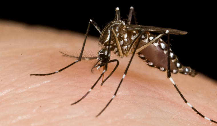 Third Case of West Nile Virus Confirmed in Allegheny County, Munhall Resident Diagnosed