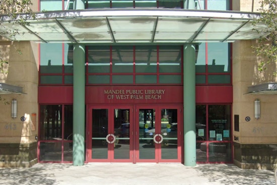 "Treefall" Exhibition to Enrich West Palm Beach Mandel Library with Environmental Artistry