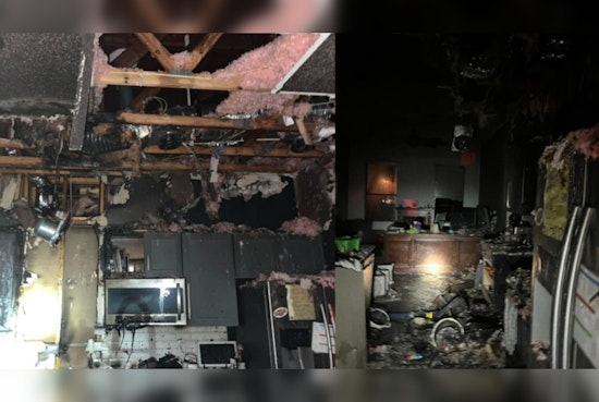 Two Dogs Perish Five Suffer Smoke Inhalation in Spring Hill House Fire Cause Under Investigation