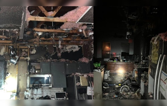 Two Dogs Perish Five Suffer Smoke Inhalation in Spring Hill House Fire Cause Under Investigation