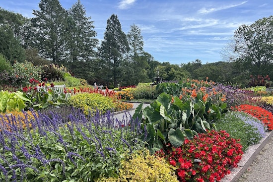 University of Minnesota Extension Offers Free Gardening Class in Wright County to Promote Sustainability