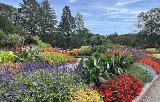 University of Minnesota Extension Offers Free Gardening Class in Wright County to Promote Sustainability