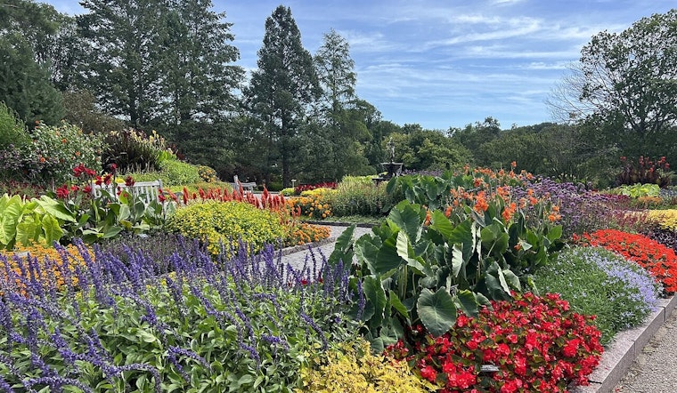 University of Minnesota Extension Offers Free Gardening Class in Wright County to Promote Sustainability
