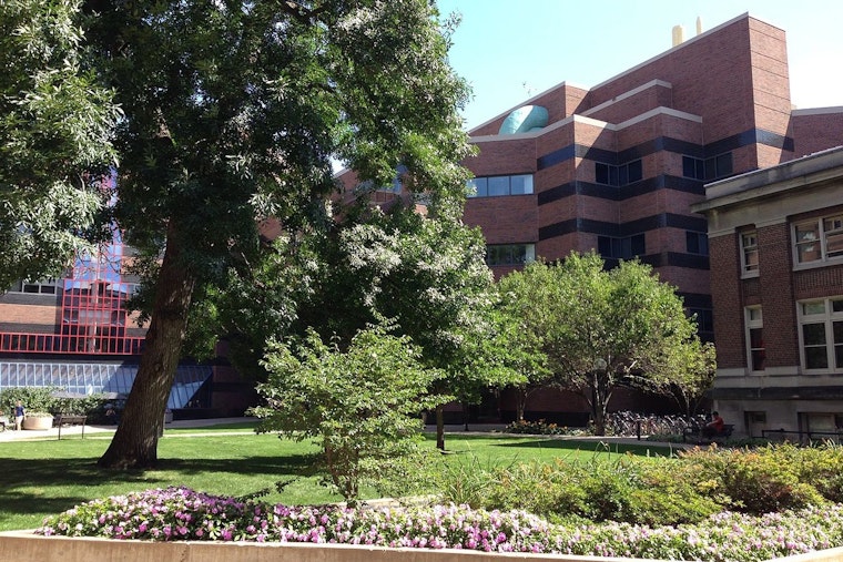 University of Minnesota Unveils 3D-Printed Human Tissue Simulants to Enhance Medical Training