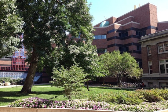 University of Minnesota Unveils 3D-Printed Human Tissue Simulants to Enhance Medical Training