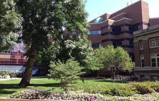 University of Minnesota Unveils 3D-Printed Human Tissue Simulants to Enhance Medical Training
