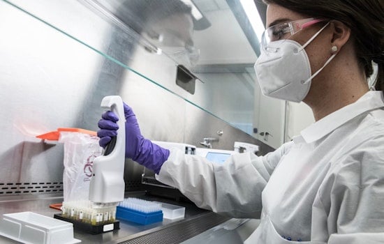 University of Tennessee College of Pharmacy Achieves No. 12 National Rank in NIH Research Funding
