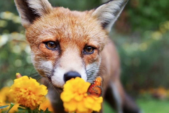 Unleash Your Inner Artist with 'Visions of Peace' Workshops Led by Adrienne Garnett in Raleigh