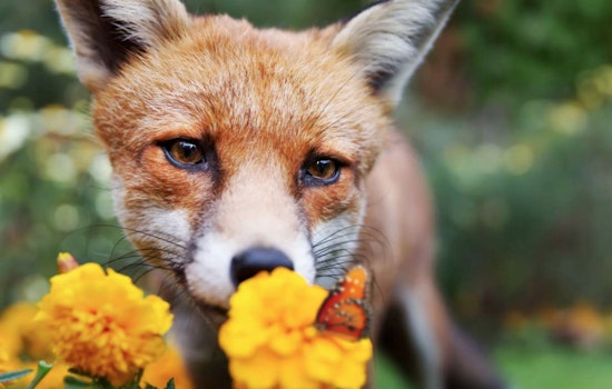 Unleash Your Inner Artist with 'Visions of Peace' Workshops Led by Adrienne Garnett in Raleigh