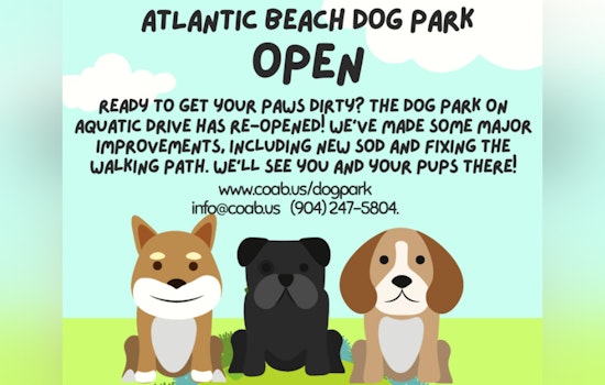 Upgraded Dog Park on Aquatic Drive Reopens to Wagging Tails and Happy Owners