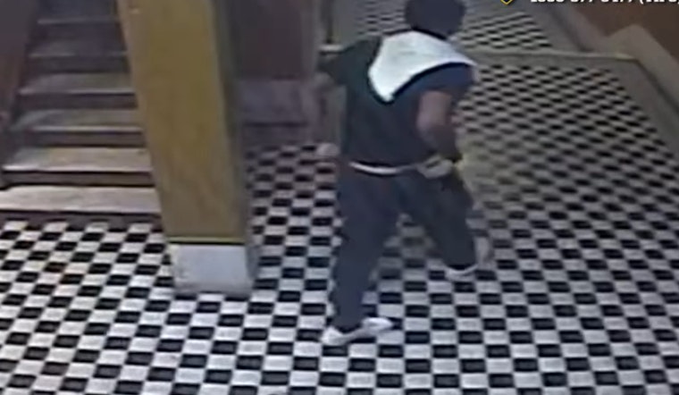 Urgent Manhunt Underway After Woman Sexually Assaulted and Robbed in the Bronx as NYPD Seeks Public’s Help