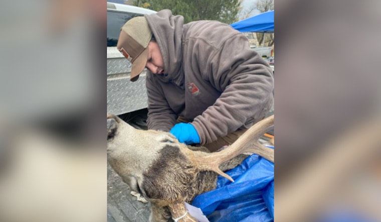 Utah Hunters Called to Participate in Chronic Wasting Disease Testing to Monitor Deer Populations