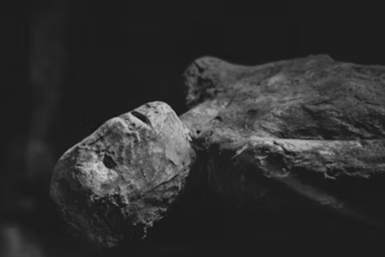 Utah State University's "Mummy Mystery": Unwrapping the Past with Technology at Science Unwrapped Event