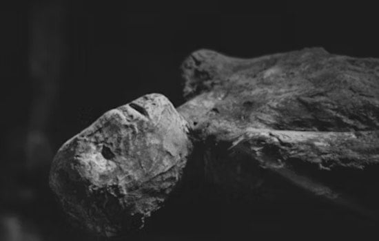 Utah State University's "Mummy Mystery": Unwrapping the Past with Technology at Science Unwrapped Event