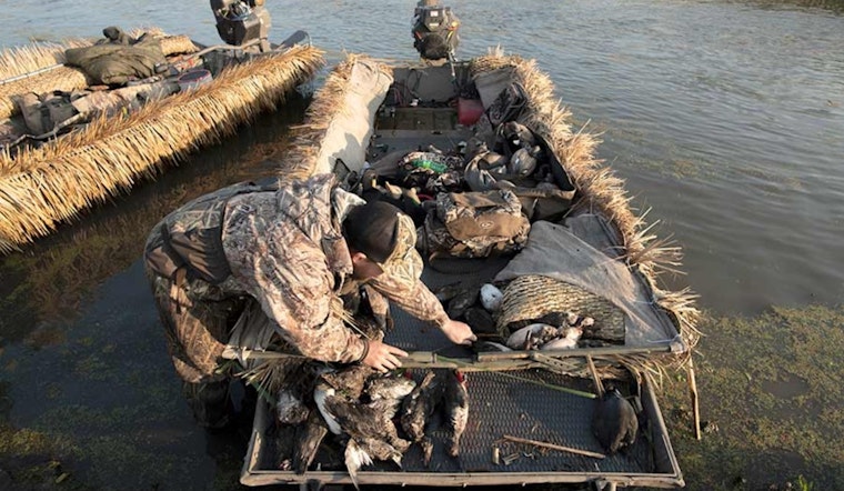 Utah Waterfowl Hunters Gear Up for 2025 Season with Conservation Efforts in Focus