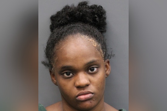 Valrico Mom Charged with Attempted Murder of Her Trio of Tots at Community Pool After Disturbing Livestream