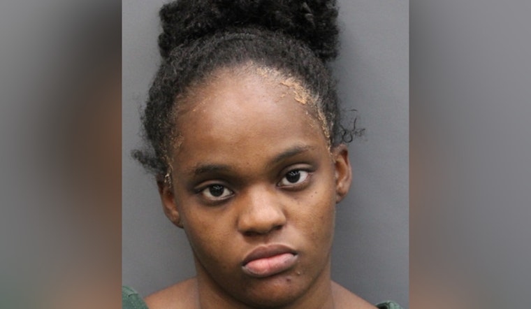 Valrico Mom Charged with Attempted Murder of Her Trio of Tots at Community Pool After Disturbing Livestream