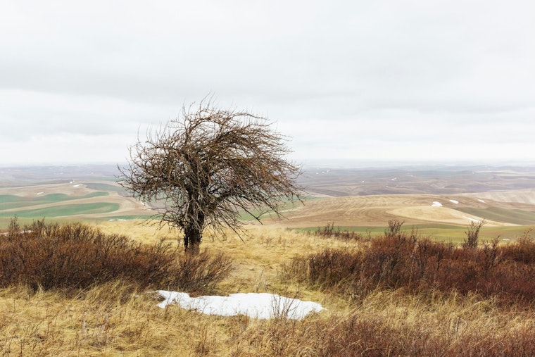 Washington Department of Ecology Rebukes Federal Climate Report, Stressing Immediate Climate Threats