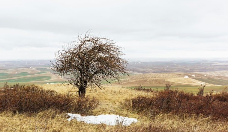 Washington Department of Ecology Rebukes Federal Climate Report, Stressing Immediate Climate Threats