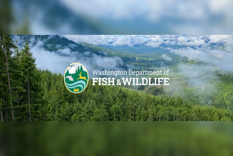 Washington Fish and Wildlife Commission Advances Conservation with Key Land Deals, Weighs in on Trout and Steelhead Policies in Wenatchee Meetings