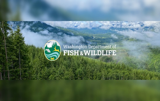 Washington Fish and Wildlife Commission Advances Conservation with Key Land Deals, Weighs in on Trout and Steelhead Policies in Wenatchee Meetings