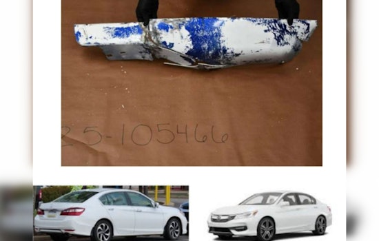 Washington State Patrol Seeks Witnesses in Fatal Hit-and-Run Near Meyers Way