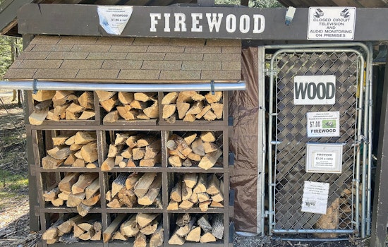 Wisconsin DNR Urges Public to "Buy Local, Burn Local" to Protect Forests During National Firewood Month