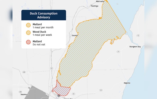 Wisconsin Health Agencies Issue 'Do Not Eat' Advisory for Some Ducks in Green Bay Due to PFAS Contamination