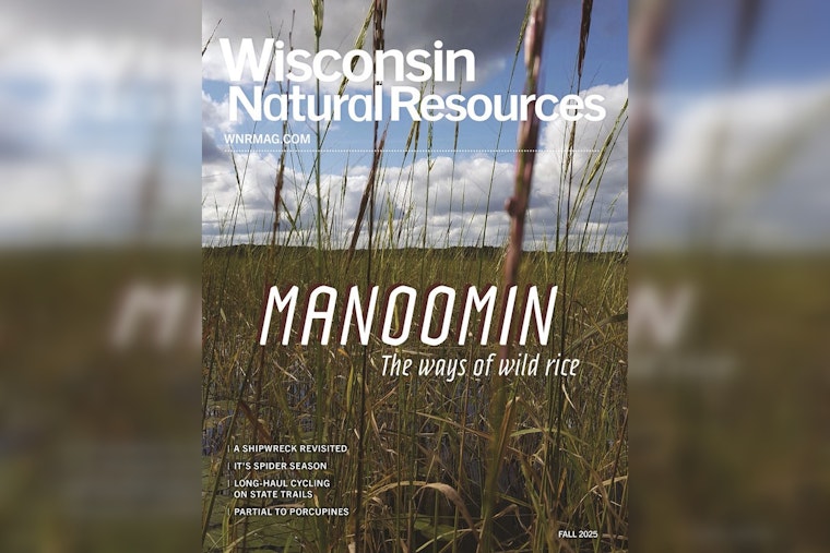 Wisconsin’s DNR Fall Magazine Highlights Wild Rice State Parks and Water Conservation