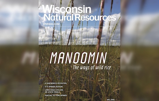 Wisconsin’s DNR Fall Magazine Highlights Wild Rice State Parks and Water Conservation