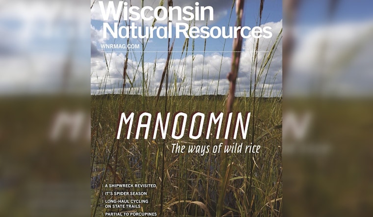 Wisconsin’s DNR Fall Magazine Highlights Wild Rice State Parks and Water Conservation