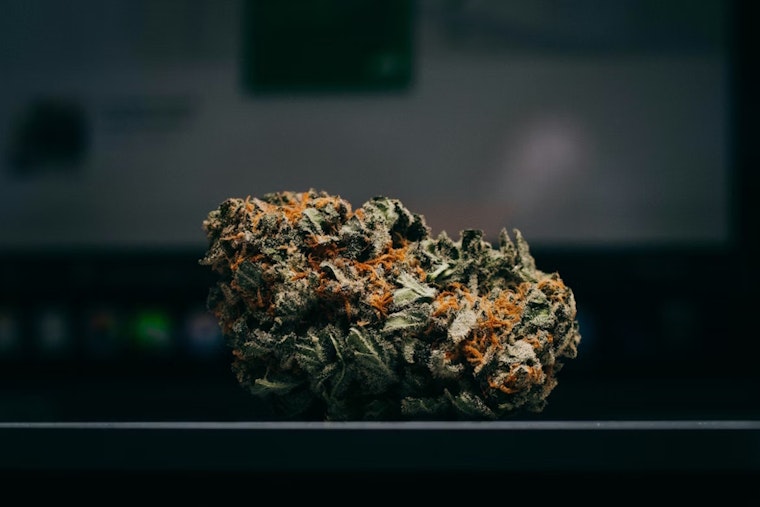 1,000lbs of Marijuana Seized; Mustang Man Arrested Near Clinton with $250k Bond