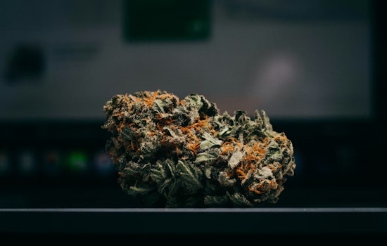 1,000lbs of Marijuana Seized; Mustang Man Arrested Near Clinton with $250k Bond